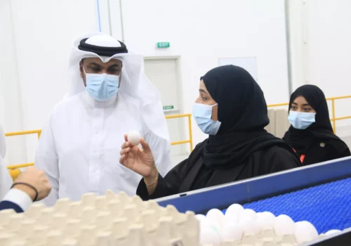 النائب الرفاعي يزور الشركة العامة للدوان