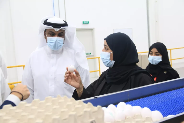 النائب الرفاعي يزور الشركة العامة للدوان